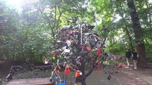 Москва - Питер. Дом у залива гостит в столице.