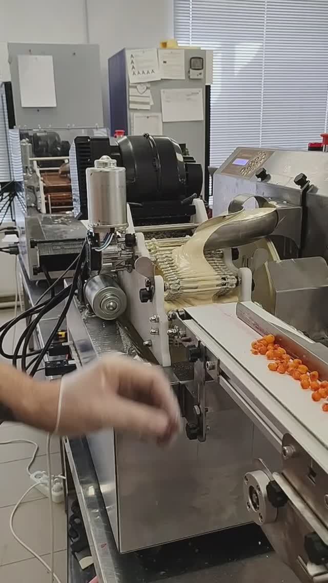 Облепиха в шоколаде на линии Jastin.