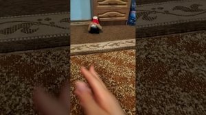 влог в деревне с Бобиком 2-ая часть