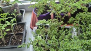 Главное в этом деле 🥰ЛЮБОВЬ