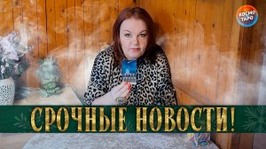 ТЫ УДИВИШЬСЯ! ПЕКРАСНЫЕ НОВОСТИ ДЛЯ ТЕБЯ! | Гадание таро расклад
