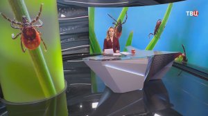 Сезон клещей: как не заразиться опасными болезнями