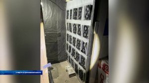 У владельцев квартир, сдающих их аренду, могут возникнуть неожиданные проблемы