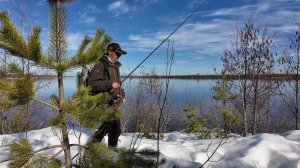 4 апреля 2026 г, Волга, Нижегородская область, Балахнинский район. Зарисовка. _Весна идёт - ..._