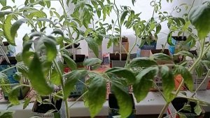 ПОЧЕМУ ОН НЕ УВАЖАЕТ ЛЮДЕЙ ‼️ТРУДА ‼️А  САМ ЧТО СДЕЛАЛ СВОИМИ РУКАМИ