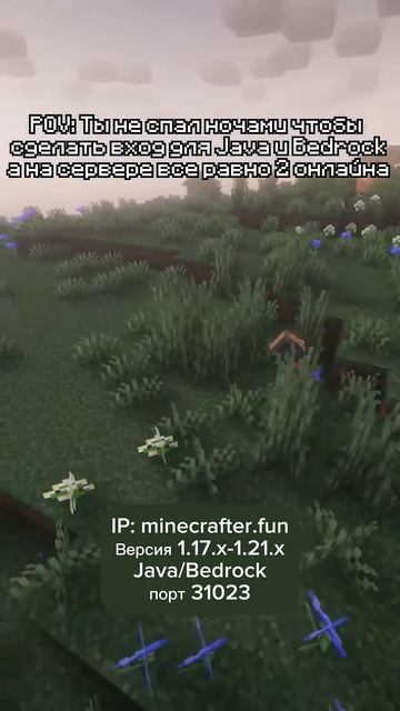 Айпи: minecrafter.fun Версии входа 1.17.х-1.21.х Порт для тел 31023 #майнкрафт #minecraft