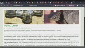 Истребители зла. Центры обработки данных с искусственным интеллектом