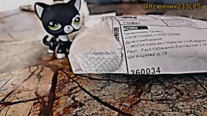 Ну вот так вот. Простите что меня долго не было. 8-ое видео! 🎀