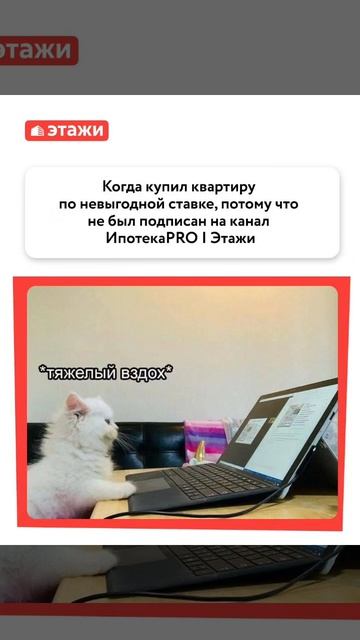 Юмор, снова юмор