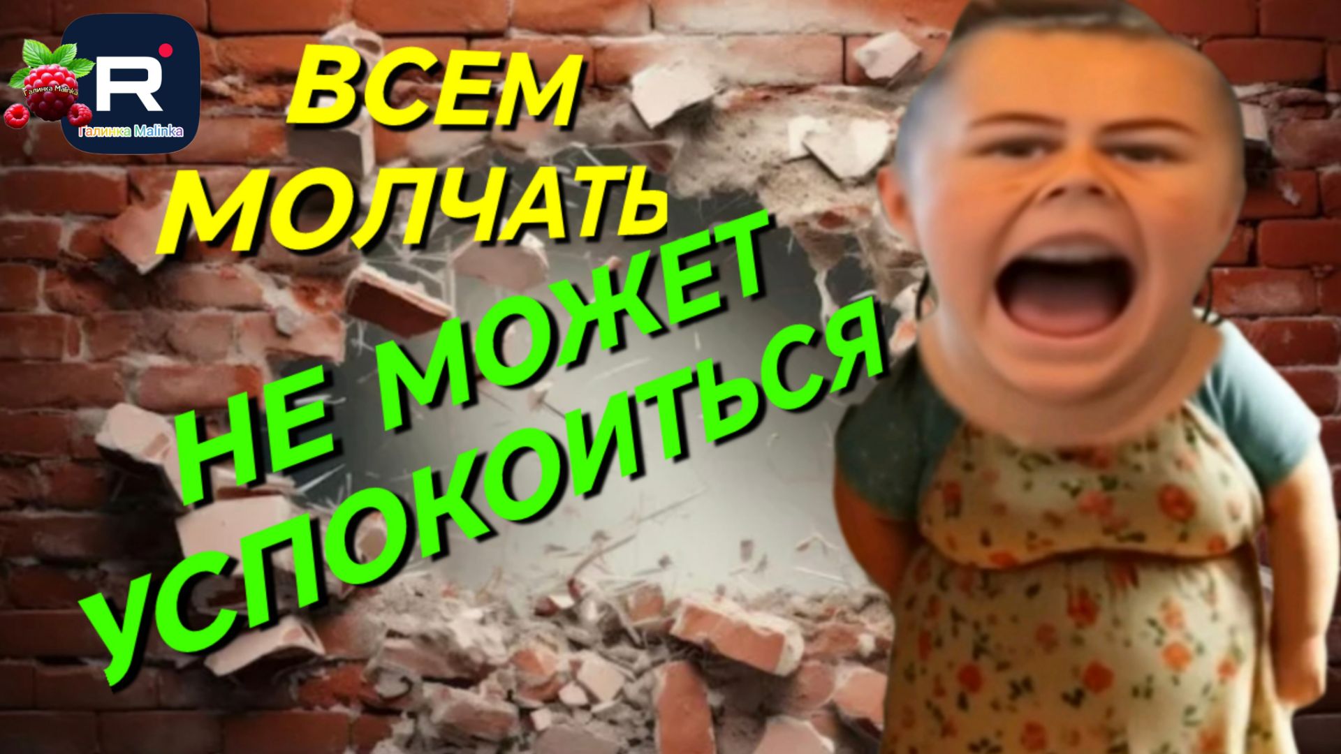 Сельчанка в Америке _Всем молчать _Не может успокоиться _Обзор _Selchanka V Amerike _Big Big Family