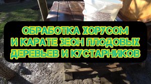 Обработка хорусом и каратэ зеон плодовых деревьев и кустарников. 6.04.26