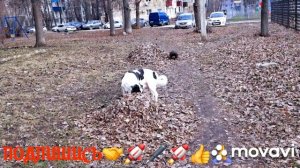 🚀🖋️КАКОЕ НЕБО ГОЛУБОЕ,НА РАБОТУ РАЗ ДВА💃🔥 МОИ БУДНИ 🚀🖋️