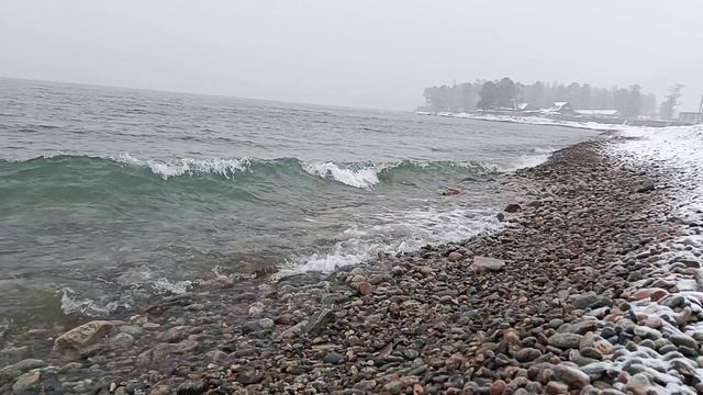 Ученик 8 класса МОУ Туркинска СОШ: Почему так много эндемиков в Байкале?