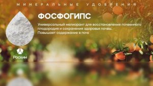 Продуктовая линейка АО «Росхим»