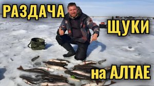 Раздача щуки на Алтае! Щука клюет практически с каждого заброса!