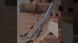 1000055186.mp4 (Собака наблюдает за устройством лестницы на 2-ой этаж в доме А-фрейм)