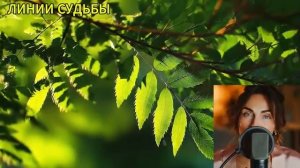 Слепой маршрут.