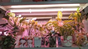 Конец марта, начало апреля.