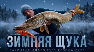 ЗИМНЯЯ ЩУКА. Закрытие спиннингового и лодочного сезона 2025.