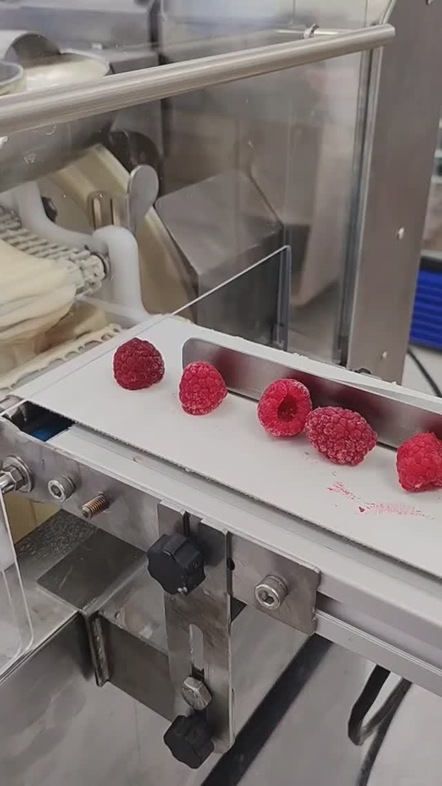 Малина замороженная в шоколаде, как производить.