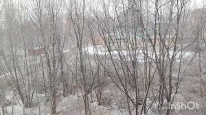 Шпаги скрестились!! 🤦