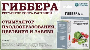 Гиббера – хороший стимулятор плодообразования. Обзор регулятора роста растений