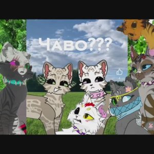 Урааа меня убила Сью!!! Прошу выбрать в начале видео. Зашибись. Коты Воители Темная Ночь КВ