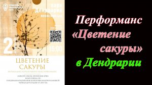 Перформанс «Цветение сакуры» в Дендрарии (2026)
