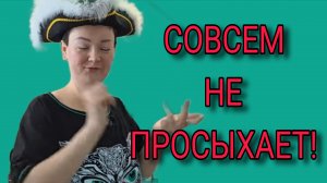 СОВСЕМ СПИЛАСЬ! ПИРАТСКАЯ ЖИЗНЬ. ОБЗОР.