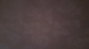 обзор на наш номер!!! 🏡