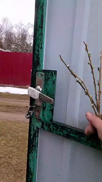 Вербное воскресение.