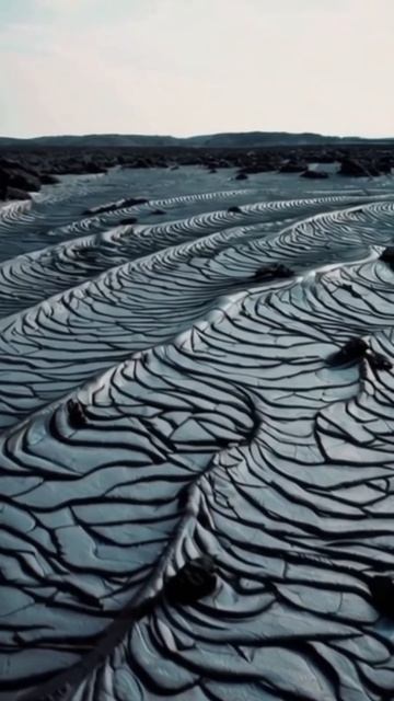 вирусный популярность развлечение забавно креатив вирусное