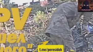 Дрон залетел точно между полушариями