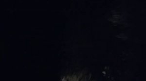 2020 г ВОЖДЕНИЕ ВСЛЕПУЮ _ ШОК