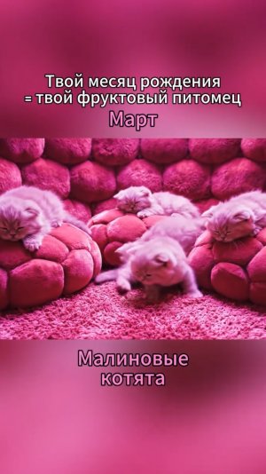 Какой твой питомец??🌸