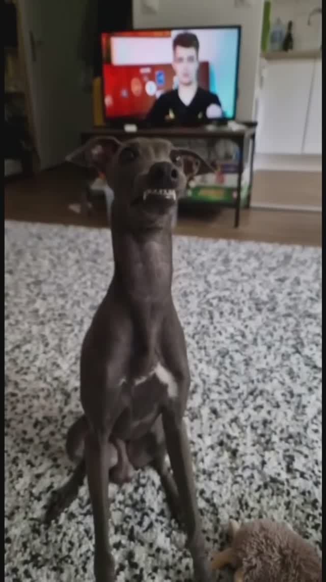 ПОДБЕРИ КРЫЛАТОЕ ВЫРАЖЕНИЕ К ВИДЕО