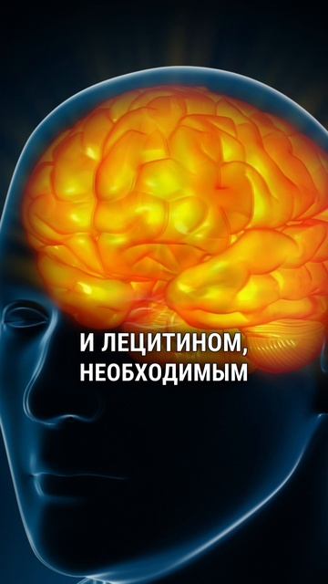 Сало правда полезно для сосудов?
