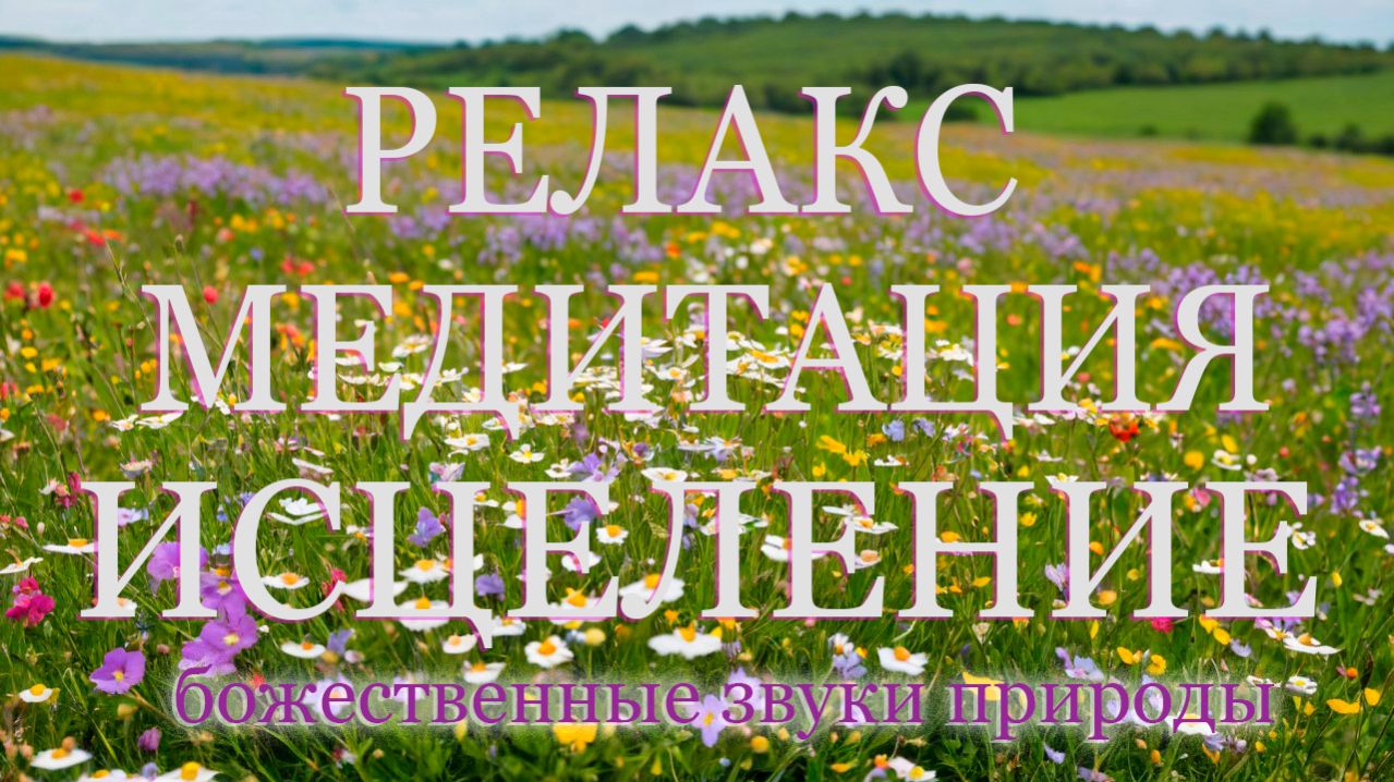 Звуки природы — лучшая терапия для души! РЕЛАКС, МЕДИТАЦИЯ,ГЛУБОКЙ СОН