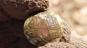 Открытие СЕЗОНА 2026-ТЬ