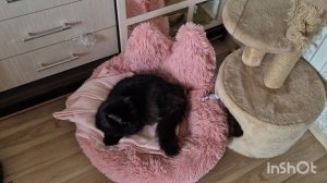 ВЕРБНОЕ ВОСКРЕСЕНЬЕ/МОЙ ДЕНЬ/МНОГО ПОКУПОК