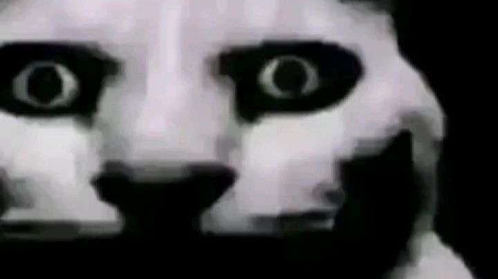 ОТКУДА МОЙ ОДНОКЛАССНИК ЗНАЕТ ЧТО У МЕНЯ НА АВАТАРКЕ МЕТТАТОН