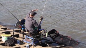 Золотая Кормушка 2026-2