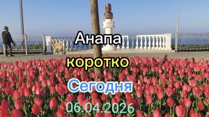Анапа Сегодня коротко 06.04.2026