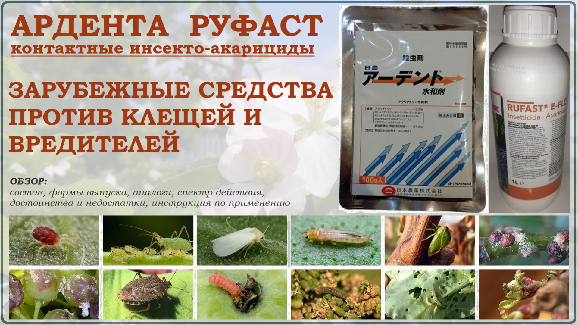 Ардента и Руфаст – японские контактные средства от вредителей и растительноядных клещей. Обзор