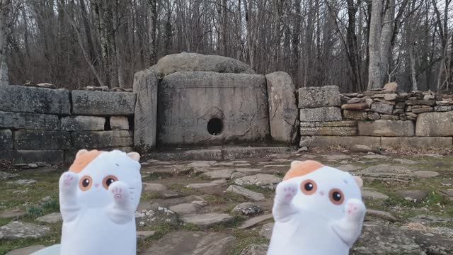 20230306 Коты на дольменах