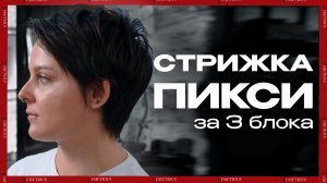 Стрижка ПИСКИ за 3 блока | Ребро жесткости - самый удобный приём для работы | ДЕМЕТРИУС