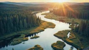 Край Красноярский