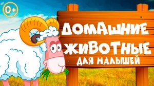 МУЛЬТФИЛЬМ ДОМАШНИЕ ЖИВОТНЫЕ для детей | Развивающие мультики учим животных для самых маленьких
