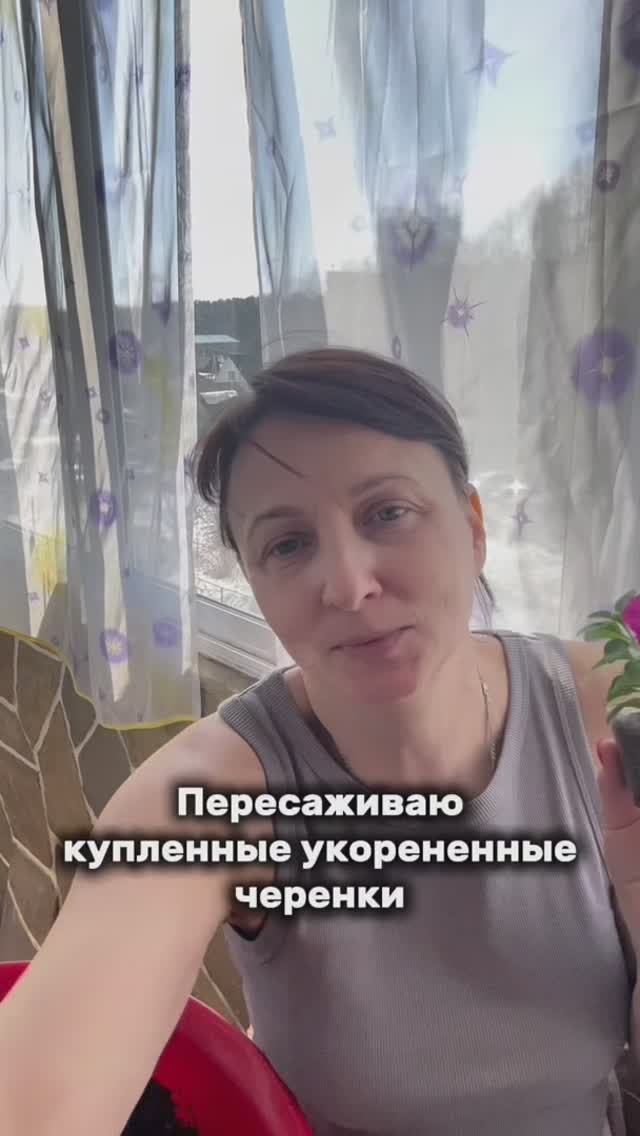 Пересадка черенков😊