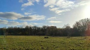 Калининград, парк Макса Ашмана